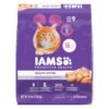 IAMS PROACTIVE HEALTH Healthy Kitten Dry Cat Food with Chicken Cat Kibble, 16 lb. Bag Dry Food 16.00 Pound (Pack of 1) 19 71LMePXe8YL