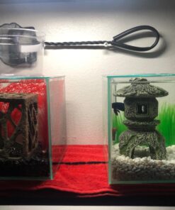 Marina CUBUS Glass Betta Kit – Elegant Glass Aquarium for Homes or Offices 46 71LQXsi jbL