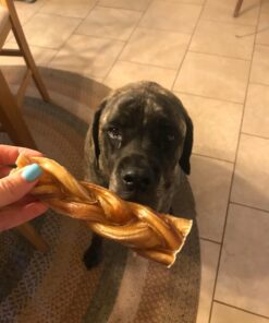 Best Bully Sticks All Natural Premium 12 Inch Jumbo Bully Sticks for Large Dogs - USA Baked & Packed - 100% Grass-Fed Beef - Single-Ingredient Grain & Rawhide Free Dog Chews - 8 Pack 12" Natural Scent 8 Count (Pack of 1) 31 71LSRfqFApL 2