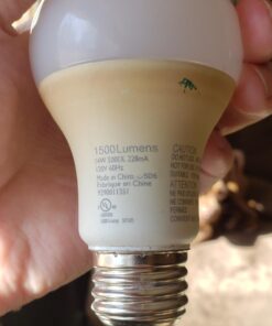 Philips LED Non-Dimmable A19 Frosted Light Bulb: 1500-Lumen, 5000-Kelvin, 14-Watt (100-Watt Equivalent), E26 Medium Screw Base, Daylight, 4-Pack, 455717 4 Count (Pack of 1) 100-Watt Equivalent 37 71LUcsuJJPL