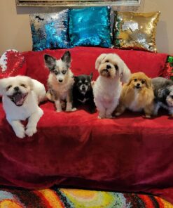 McKesson UPHV3036 StayDry Ultra Underpads, 30" x 36" (Pack of 100) Peach Backsheet 27 71LW0j8B HL