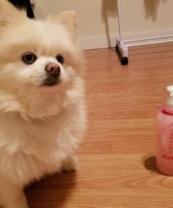 Kikumasamune Moisturizing Hydrating Body & Skin Toning Lotion, 2 in 1 Toner Lotion for Women & Men from Japan 16.9 Oz (High Moist) (pack of 1) 16.9 Fl Oz (Pack of 1) 30 71LbL5RQErL