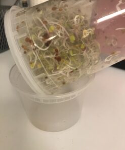 Todd's Seeds® Broccoli and Friends Sprouting Seed Mix, One Pound 50 71Lc27KEtvL