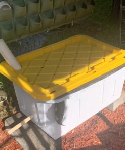 Uncle Jim's Worm Farm 2000 Count Red Wiggler Worms 22 71LcHMm3cyL