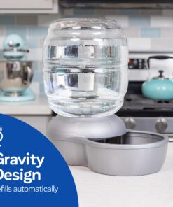 Petmate Replendish Gravity Waterer With Microban for Cats and Dogs, 2.5 Gallons,Blue, Made in USA Blue 2.5 GAL 29 71LdRf3auvL