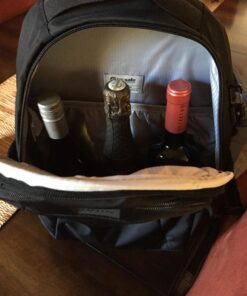 Pacsafe Metrosafe LS350 15 Liter Anti Theft Laptop Daypack/Backpack - with Padded 13" Laptop Sleeve, Adjustable Shoulder Straps, Patented Security Technology, Black Pacsafe Metrosafe Ls350 Anti-theft 15l Travel Backpack - Black 33 71LerZi6KBL