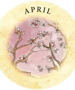 Tea Leaf Fortune Cards 50 71LjXxPWDTL