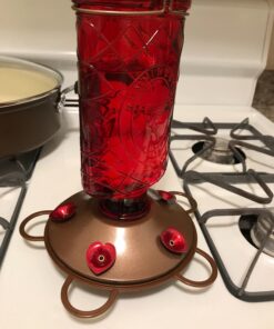 BOLITE Hummingbird Feeder, 18005 Glass Hummingbird Feeders for Outdoors Hanging, 5 Feeding Stations, 22 Ounces, Red Bottle, Xmas Gifts for Bird Lovers Red Elixir Bottle 41 71LmB2nyS3L