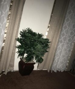 Nearly Natural 6718 35in. Double Bamboo Palm with Decorative Planter Silk Plant,Green Green 35in. 25 71LmkVVfh5L