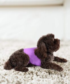 PET MAGASIN Male Dog Belly Manner Band Wraps Nappies, 3-Pack, Blue Green and Purple, Small Solid Small (13"-15" Waist) 25 71LoXTtzfSL