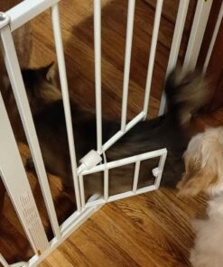 Carlson Extra Wide Walk Through Pet Gate with Small Pet Door, Includes 4-Inch Extension Kit, Pressure Mount Kit and Wall Mount Kit,White 40 71Lov9UhBiL