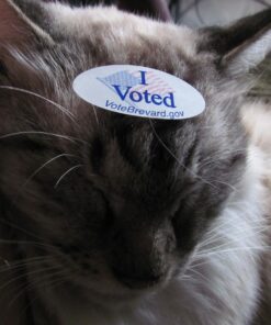 Purina Cat Chow Gentle Dry Cat Food, Sensitive Stomach + Skin - 13 lb. Bag 13.00 Pound (Pack of 1) 36 71Lq6pg1vRL