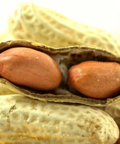 Wakefield Extra Large Virginia Peanuts for Animals, 25 LBS Peanut 25 Pound (Pack of 1) 23 71LsAib0pWL