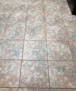 Oreck Commercial Orange Tile & Resilient Floor Scrub Brush for Orbiter Floor Machine ORB550MC, Clean Heavy-Duty Floors, 12 Inch Diameter 0.028 Inch Crimped Polypropelene Bristles, 237047, Orange Orbiter Brush 41 71Lt 1hR2VL 3