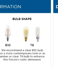 Progress Lighting Piedmont Collection Four-Light Cage Entry Light, Antique Bronze 13-3/8-Inch Width x 20-3/8-Inch Height 30 71LtQu1d3IL