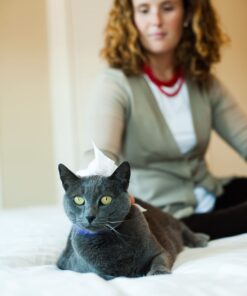 earthbath, Hypo-Allergenic Grooming Wipes – Fragrance Free Dog Wipes for Paws and Butt, Pet Wipes for Dogs with Sensitive Skin, Made in USA, Cruelty-Free Dog Cleaning Wipes – 100 Count (1 Pack) 18 71LwnmQggCL