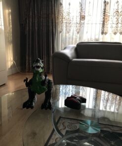 TEMI 8 Channels 2.4G Remote Control Dinosaur Toys for Kids 3 4 5 6 7 Years, Electric Stunt RC Walking T- Rex Toy with Lights and Sounds Powered by Rechargeable Battery, Gift for Boys 1 pack with remote 33 71Lx2O3fsvL