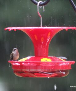 Roamwild Hanging Hummingbird Feeder for Outdoors with Double Moat Guard Technology | 5 Feeding Stations with Quick Easy Filling Port | 20 fl oz Nectar Large Capacity - Purple Petals (Yellow) Yellow 32 71M0gKTV5ZL