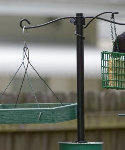 Woodlink Going Green Platform Bird Feeder Model GGPLAT 51 71M0uONMkL