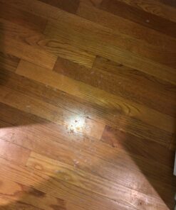 E-Cloth Deep Clean Mop, Microfiber Mop, Perfect Floor Cleaner for Hardwood, Laminate, Tile and Stone Flooring, Washable and Reusable, 100 Wash Promise Old Version 57 71M36bXoreL