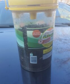 Flybuster Fly Trap - Outdoor Living, Fly Trap, Pest Control Trap for Garden 31 71M3sSIEYiL