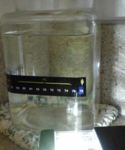 Fermometer Adhesive Strip Thermometer 11 71M4YMa4eSL