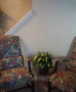 Nearly Natural Triple Golden Dieffenbachia with Wood Vase, Green, 20" x 18" x 22" 42 71M520nydzL