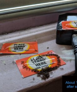 TERRO Liquid Ant Killer ll T200, 2 oz 43 71M6RNbFTFL