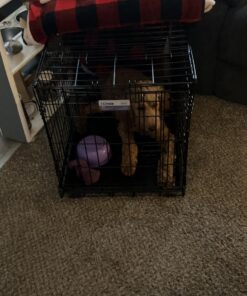 MidWest Homes for Pets Newly Enhanced Single Door iCrate Dog Crate, Includes Leak-Proof Pan, Floor Protecting Feet , Divider Pane l & New Patented Features Medium 34 71MHYBQ44rL