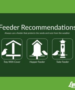 Lyric Fine Tunes Wild Bird Seed - No Waste Bird Food Mix - Attracts Bluebirds, Finches, Chickadees & More - 15 lb. Bag 15.00 Pound (Pack of 1) Seed Mix 27 71MIyZKWmML