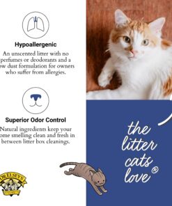 Precious Cat Senior Litter, 8lbs 15 71MJkBhehuL