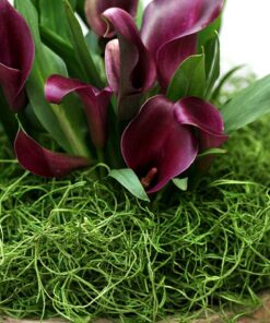 Alternative view of SuperMoss (26912) Spanish Moss Preserved, Grass, 8oz (200 cubic inch) 1