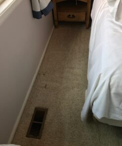 Nature's Miracle Carpet Shampoo, Deep-Cleaning Stain and Odor Remover 64 Ounce Original 64 Fl Oz (Pack of 1) 43 71MKgqioMgL 1