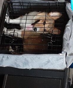 Wilton Perfect Results Premium Non-Stick Bakeware Mega Cookie Sheet, 15 x 21-Inch, Steel Mega-Cookie Pan 32 71MLAxifYGL