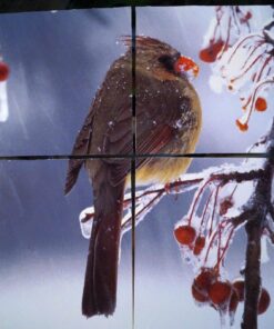 US Art Supply 8 X 8 inch Professional Artist Quality Acid Free Canvas Panel Boards for Painting 12-Pack (1 Full Case of 12 Single Canvas Board Panels) 8" x 8" 32 71MLa3w0JL