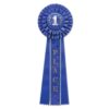 Beistle 1st Place Deluxe Rosette, (1 Count), 4.5 Inches by 13.5 Inches 63 71MMo80lu2L