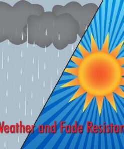 In the Breeze Rainbow Fishy Trout 48 Inch Windsock - Fun Fish Hanging Decoration - Fade Resistant Material for Long Lasting Bright Colors,4116 48" Rainbow Fish 13 71MNJYGui8L