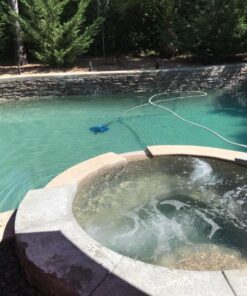 Clorox Pool&Spa Green Algae Eliminator2 32 oz 52 71MO5QGt5zL