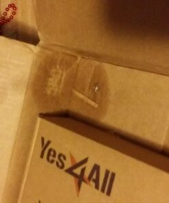 BASF 671858 PT Ultracide Pressurized Flea Insecticide, 20oz 7 71MSKyHLJML