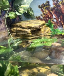 Tetra Decorative ReptoFilter, Terrarium Filtration, Keeps Water Clear 54 71MSN jgIL
