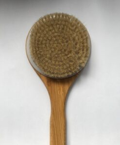 Chikoni Dry Bath Body Brush Back Scrubber with Anti-Slip Long Wooden Handle, 100% Natural Bristles Body Massager, Perfect for Exfoliating, Detox and Cellulite, Blood Circulation, Good for Health 39 71MYBR0jmCL