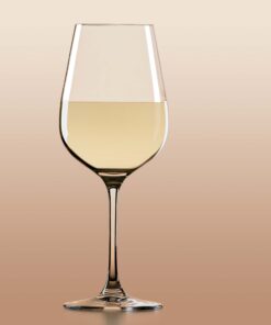 Lenox Tuscany Classics 4pc Pinot Grigio Glass Set, 2.55 LB, Clear Pinot Grigio Glasses 7 71Manl1ijOL