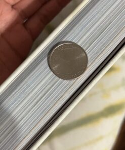 The Legend of Zelda: Breath of the Wild--Creating a Champion 46 71MattcSNSL