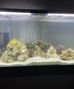 Chemi-Clean - 2 g 2g 64 71McAISJeZL