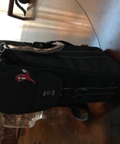 Ape Case ACPROLC18 Professional Large Lens Case, Black/Yellow 31 71MdfD9BOqL