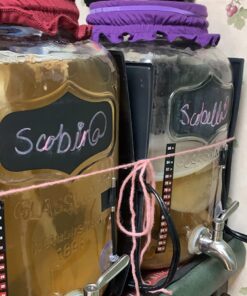 VIVOSUN 10"x 20.75" Seedling Heat Mat and Digital Thermostat Combo Set, UL & MET-Certified Warm Hydroponic Heating Pad for Germination, Indoor Gardening, Greenhouse 10"x20.75" 45 71Me5PnEnnL