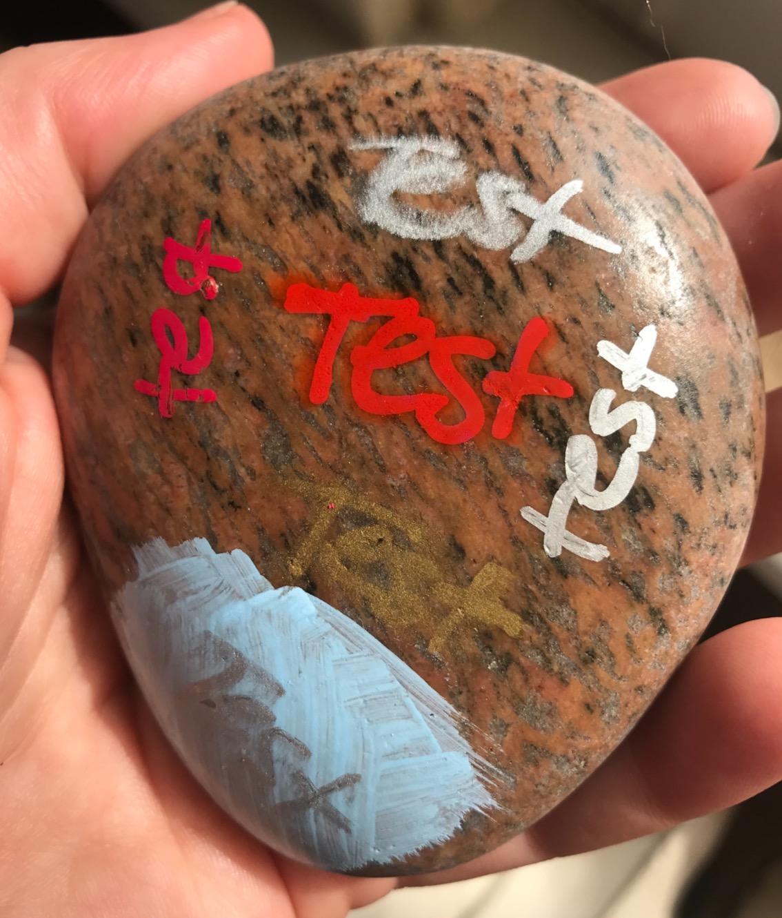 SHARPIE Oil-Based Paint Markers, Medium Point, Assorted & Metallic Colors, 5 Count - Great for Rock Painting 7 SHARPIE Oil-Based Paint Markers, Medium Point, Assorted & Metallic Colors, 5 Count - Great for Rock Painting - Image 7