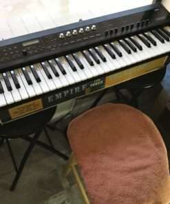 M-Audio SP-2 - Universal Sustain Pedal with Piano Style Action For MIDI Keyboards, Digital Pianos & More 44 71MhUq2Vo2L 3