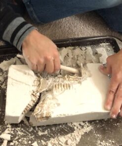 Large Dinosaur Excavation Kit 27 71MkKoEH39L