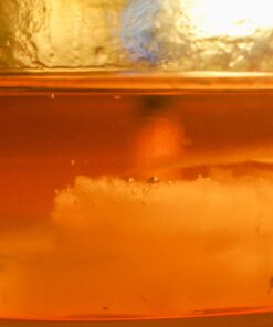 Meike MK-S-AF3B Auto Focus Extension Tube 10mm 16mm For Sony A7 A7M2 NEX 3 NEX 5 NEX 6 A6600 A5000 A6000 A6100 A6300 A6400 A6500 A9 51 71MlC4y6X6L